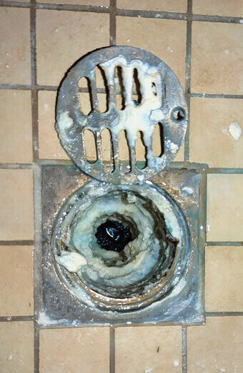https://blockeddrainskelmscott.com.au/uploads/2025/07/blocked-shower-drains-86331.jpg