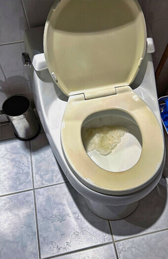 https://blockeddrainskelmscott.com.au/uploads/2025/07/blocked-toilet-27293.jpg