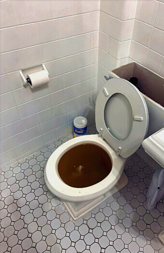 https://blockeddrainskelmscott.com.au/uploads/2025/07/blocked-toilet-99184.jpg