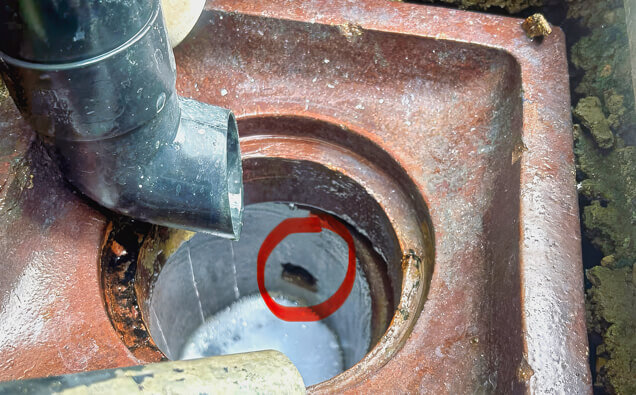 https://blockeddrainskelmscott.com.au/uploads/2025/07/hero-blocked-sewers-17074.jpg